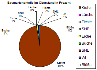Baumartenverteilung in Prozent im Oberstand im Beelitzer Stadtwald